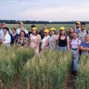 Агротехнологии будущего»: на Кубани  открылась Вавиловская школа молодых ученых
