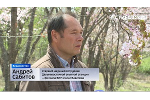 СМИ: Уникальные сады под Владивостоком взяты под охрану
