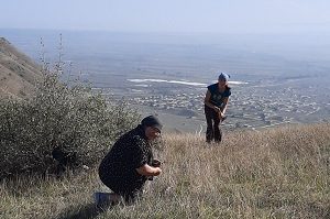 Дагестан: народный “Фюль-фюль” и другие овощные “находки” спустя 55 лет