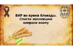 Вавиловский семинар: Прорыв  блокады Ленинграда  – 80 лет назад. Мы помним!