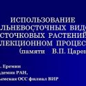 “Хозяйке вишни войлочной” посвящается…