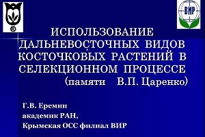 “Хозяйке вишни войлочной” посвящается…