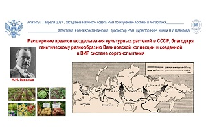 Научный совет РАН по изучению   Арктики и Антарктики: заседание и дегустация картофеля за Полярным кругом