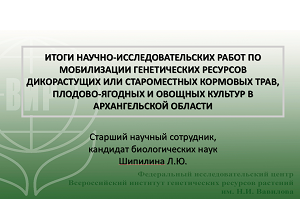 Коллегия Минагропромторга Архангельской области одобрила результаты научно-исследовательской работы ученых ВИР имени Н.И. Вавилова