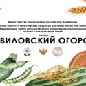 ФЦДО. Итоги всероссийского онлайн-семинара «Вавиловский огород: опыт реализации проекта»