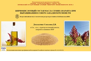 «Жирнокислотный состав масла семян амаранта при выращивании на Северо-Западе РФ»: ВИР на научно-практической конференции по амаранту