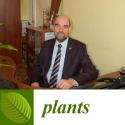 PLANTS: Игорь Лоскутов собрал статьи о новых трендах в селекции зерновых культур