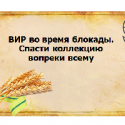 Вавиловский семинар: Прорыв  блокады Ленинграда  – 80 лет назад. Мы помним!