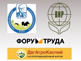Вологда – Каспийск – Санкт-Петербург: ВИР – на форумах и конференциях